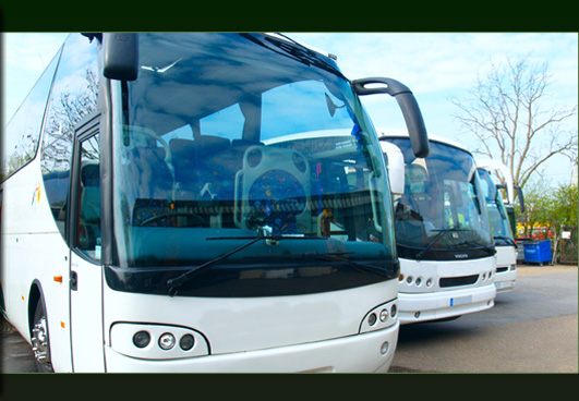 Coach Information Service